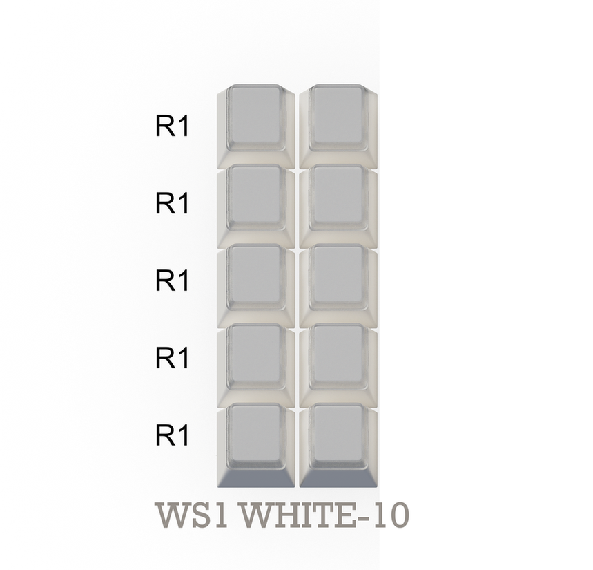 ws1-white-10