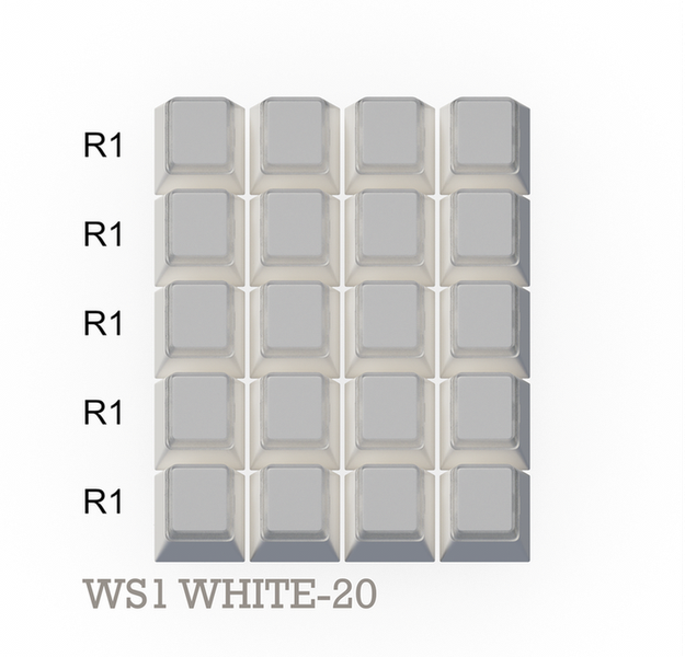 ws1-white-20